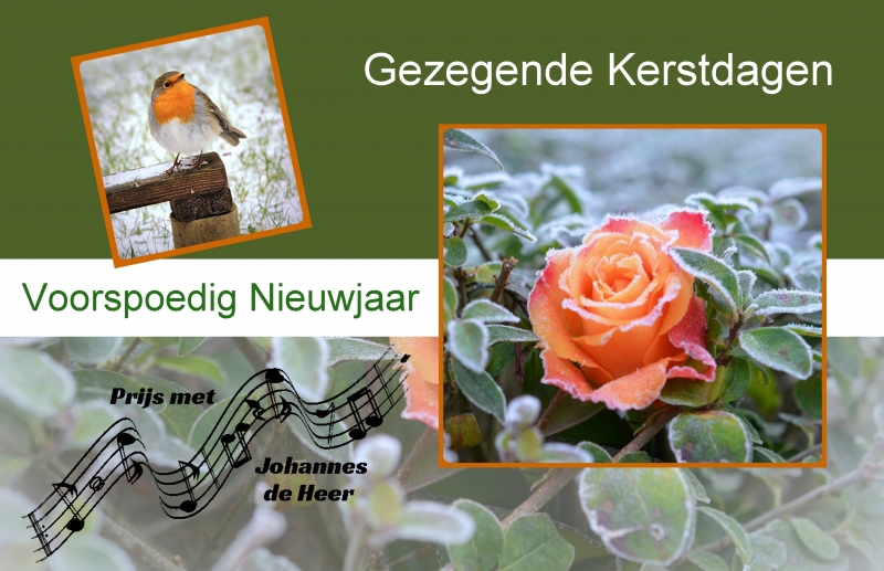 Kerstkaart PMJDH 2019